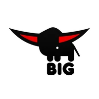 BIG