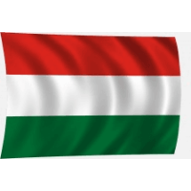 Magyar zászló hajóra kötős 30x20cm